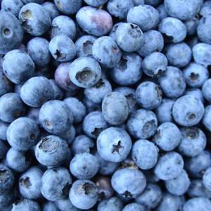 Arándanos Frescos de Primera Calidad para Exportación, Variedad Highbush Clase I, Suministro a Granel - Product Image 2