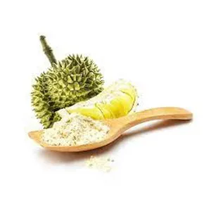 Highest Selling Best Quality 100% Pure Herbal Extract Durian Powder for Ice Cream and Soft/Hot Drinks at Direct Factory Price