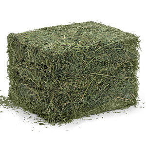 Alfalfa Hay for Cattle <b>Pig</b> & Dog Feed Protein 18 40kg PP <b>Bag</b> - Product Image 5