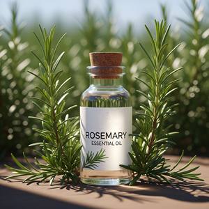 Aceite esencial de Romero natural de alta calidad para el crecimiento del cabello de aceite de barba tóner de piel OEM ODM suministro a granel - Product Image 4