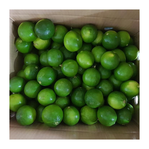 100% cítricos frescos de Lima verde/limón sin semillas de Vietnam con sabor agrio natural y selección de alta calidad - Product Image 2