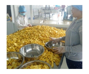 Fábrica OEM de patatas fritas de Jaca secas de Vietnam, suministro a granel al por mayor, aperitivos dulces crujientes naturales, Exportación lista para el mercado global - Product Image 5