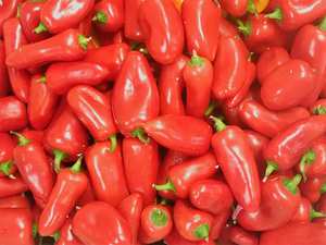 Piments doux jaunes et verts frais, graines de poivron, piments rouges à vendre - Product Image 5