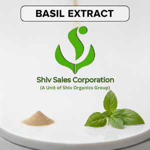 Poudre d'extrait sec de Tulsi de qualité supérieure pour une utilisation dans les formulations naturelles et les industries du bien-être - Product Image 1