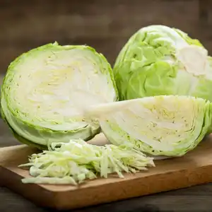 100% High Quality Organic Cabbage