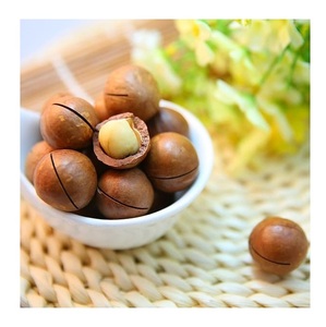Nueces de Macadamia Orgánicas Secas a Granel en Oferta - Product Image 5
