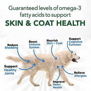 Minyak ikan Salmon peliharaan alami 100% kustom minyak Omega 3 alami murni sistem kekebalan anjing meningkatkan - Product Image 5