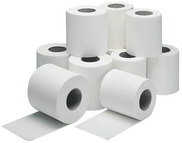 What Is The Best Biodegradable Toilet Paper White Toilet Tissue Bath Room Virgin Wood Pulp,virgin Wood Pulp Made in Vietnam