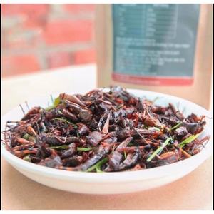 ตั๊กแตนแห้งโปรตีนสูง | เกรดอาหารสำหรับการบริโภคของมนุษย์ - Product Image 1