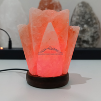 Lampe de sel de l'Himalaya rechargeable par USB en gros, OEM, marque privée, motif floral géométrique sculpté, écologique, ISO/CE JOBAK