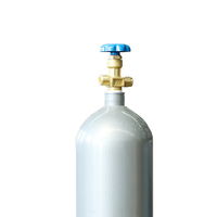 2024 nouveau haut de gamme en gros 10l 150bar 250bar Mini réservoir d'oxygène portable hélium bouteille de gaz pour ballons Collection de gaz