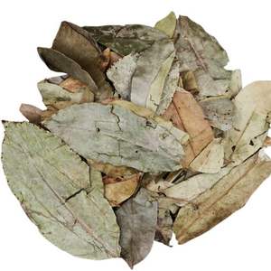 ใบฝรั่งแห้งแบบมาตรฐานใบฝรั่งส่งออกจากเวียดนาม100% - Product Image 3