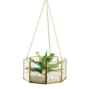 Diamond Shaped Iron and Glass Terrarium - Product Image 6