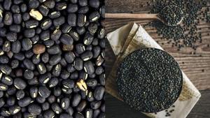 ถั่ววิญญาบริสุทธิ์ร้อยเปอร์เซ็นต์ขนาด2.8-4.2มม. สำหรับแตกหน่อถั่วดำทั้งชิ้นหรือแยกขนาด - Product Image 2