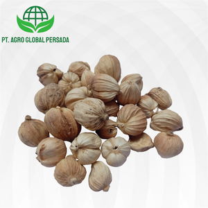 Cardamomo Blanco Orgánico Indonesio de Alta Calidad, Producto Agrícola Premium, Precios Competitivos, Proveedor Mayorista para Pedidos al por Mayor - Product Image 1