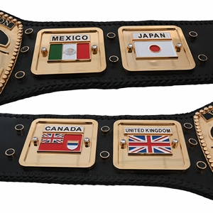 NWA Authentique Wear Championship Ceinture de titre commémorative Ceintures de lutte multi-couleurs Ceintures de titre personnalisées de haute qualité - Product Image 2