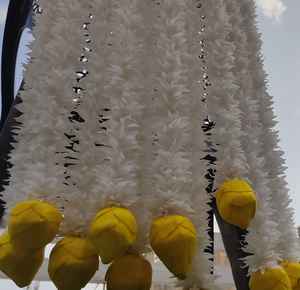 Boutons de Lotus parfaits pour le mariage indien exquis Gajra fleur de jasmin guirlande Temple scène Haldi décor noël Diwali décor - Product Image 6