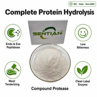 Poudre d'enzyme protéase composée de qualité alimentaire 200 000 U/g pour la hydrolyse des protéines