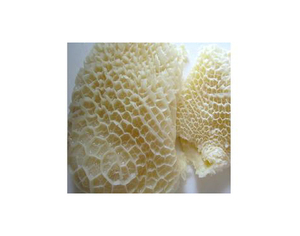 ผ้าขี้ริ้วเนื้อแช่แข็งรังผึ้ง - Product Image 4