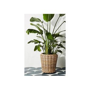 Maceta de mimbre tejida a mano al por mayor, cestas para macetas, decoración del hogar, cestas de mimbre, macetas para plantas de interior, Decoración de mesa - Product Image 1