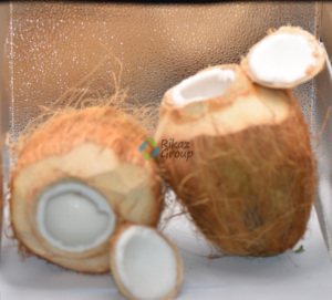 ผงมะพร้าวบริสุทธิ์ออร์แกนิกสินค้าเกษตรคุณภาพสูง - Product Image 6