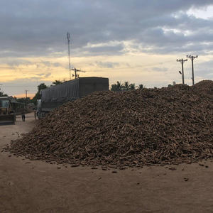 Yuca natural para consumo humano con precio competitivo de Vietnam con alta calidad - Product Image 2