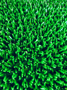 Vàng vội vàng chăn dính thảm/màu xanh lá cây vàng gấp rút chăn giá - Product Image 5