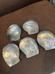 Assiette de nacre à lèvres jaune luxueuse, plat de service de caviar en coquille fait à la main Vietnam - Product Image 6