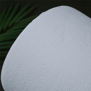 Soft and Durable Bulk Disposable <b>Toilet</b> Tissue 4Ply <b>Roll</b> Available in <b>3Ply</b> and 2Ply Options - Product Image 2