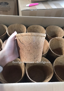 Pot en fibre de coco biodégradable, pots en fibre de coco, brosse/pots en fibre de coco à vendre, fabriqué au Vietnam - Product Image 5