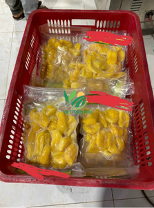 Jaca congelada Premium de VIET THIEN PHU confiable Fabricante Venta caliente Yummy Food Viet Nam IQF Process Bulk Packaging - Product Image 2