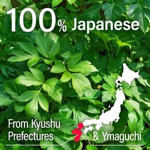 Chất lượng cao tự nhiên tinh khiết Angelica bột chay Vegan 100% từ Nhật Bản bán buôn - Product Image 2