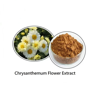 Лидер продаж, порошок экстракта хризантемы, порошок концентрата хризантемы 5% флавона - Product Image 4