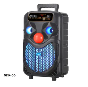 NDR-P66 8 "Karaoke kablosuz partybox 300 Dj Powered Karaoke ev sineması BT taşınabilir hoparlör dinamik aydınlatma efektleri