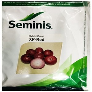 Tươi Hữu Cơ hành tây hạt giống & cây giống cho trồng - Product Image 3