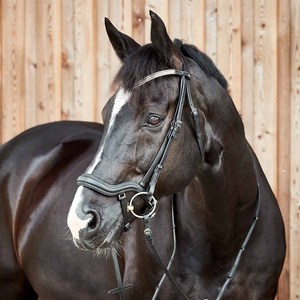 Bride de dressage en cristal anatomique-Noir Extérieur Confort Fantaisie Décoratif Rembourré Équitation Brides Anatomiques - Product Image 1