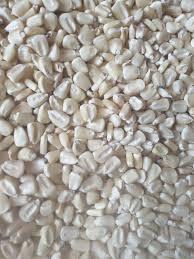 Approvisionnement en gros de maïs blanc biologique non OGM de première qualité, grains séchés, triés et nettoyés pour la consommation humaine, destiné à l'exportation - Product Image 6