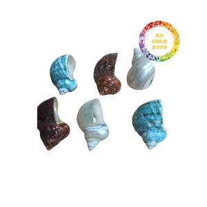 Venta al por mayor de conchas marinas a granel de Vietnam para fabricantes y mayoristas de alta calidad a buenos precios - Product Image 2