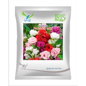 Mélange de graines de œillets irisés importés d'Inde, multicolores, plus de 300 graines, qualité supérieure pour des résultats exceptionnels - Product Image 1