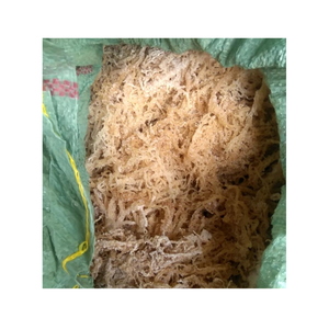สาหร่าย Eucheuma cottonii แห้งดิบเก็บเกี่ยวจากพื้นที่ชายฝั่งทะเลที่สะอาดพร้อมส่ง - Product Image 4