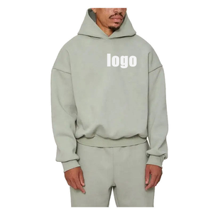 2025 vente en gros sweats à capuche personnalisés sweat à capuche pour hommes de haute qualité avec sérigraphie 450 Gsm 100% coton sweat à capuche lourd pour unisexe - Product Image 1