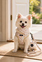 Harnais et laisse pour chien imprimé trèfle Moka, ensemble réglable et doux pour petits chiens et chiots, accessoires de promenade OEM ODM