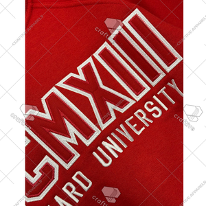 Delta Sigma Theta MCMXIII DST Sudadera Pullover Varsity Greek Merch - Product Image 2