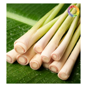 Bâton de citronnelle fraîche congelée naturelle 100%, haché, haché du Vietnam, Offres Spéciales de citronnelle congelée IQF pour l'exportation - Product Image 6