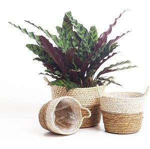 Jardinière en jonc de mer Panier Pots de plantes naturelles Conteneurs Décor incroyable Jardinière Donner un aspect naturel attrayant Votre maison et votre jardin - Product Image 6