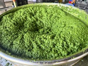 Feuilles de manioc/feuilles de manioc écrasées congelées/haute qualité au meilleur prix exporté - Product Image 4