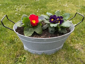 Plateau à fleurs vintage en zinc galvanisé Plateau traditionnel en métal pour jardin et décoration intérieure avec style Ins - Product Image 5