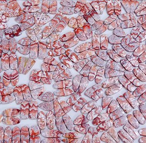 โรเซตต้าแจสเปอร์คุณภาพสูง คู่พลอยหลวมทรงคาโบชอง คู่พลอยหลวมราคาพิเศษ โรเซตต้าแจสเปอร์ธรรมชาติสำหรับทำเครื่องประดับ - Product Image 4