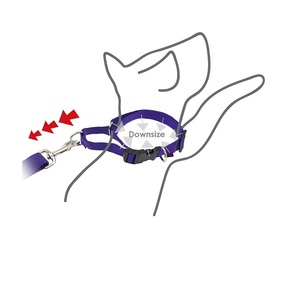 ปลอกคอฝึกสุนัขสายรัดไนล่อนปรับได้จาก Martingale - Product Image 3