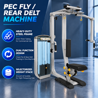 BN Pec Deck & Rear Delt Fly Machine, Appareil d'isolement pectoral et dorsal, Équipement de fitness pour studio de physiothérapie, Vente en gros